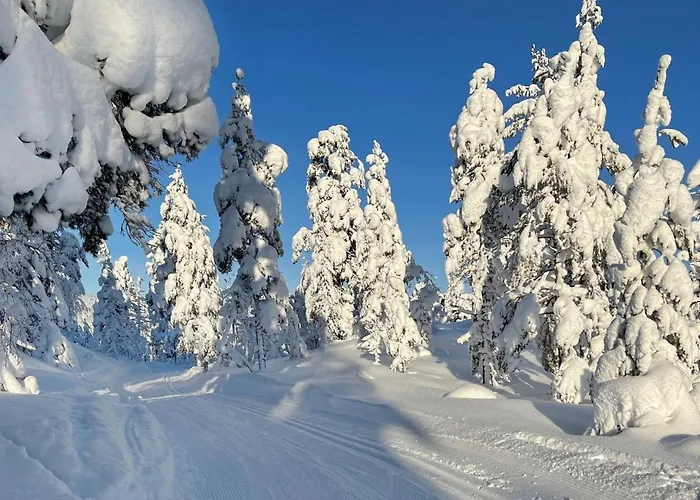 2 Bedroom In Vegårshei