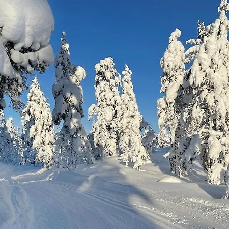 2 Bedroom In Vegårshei